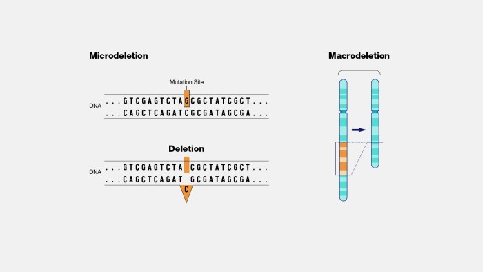 Mutation that removes dna crossword