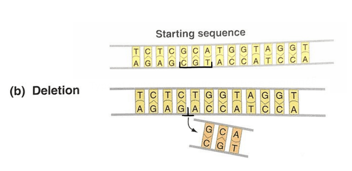 Mutation that removes dna crossword