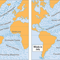 How do ocean winds affect the temperatures in new zealand